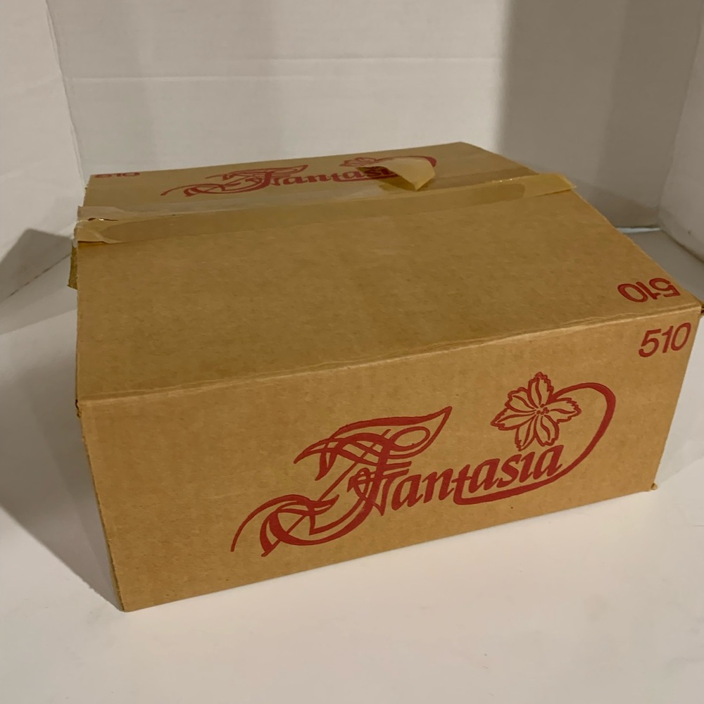 Vintage PRINCESS HOUSEL FANTASIA 5pc PLACE SETTING #510 in original box!